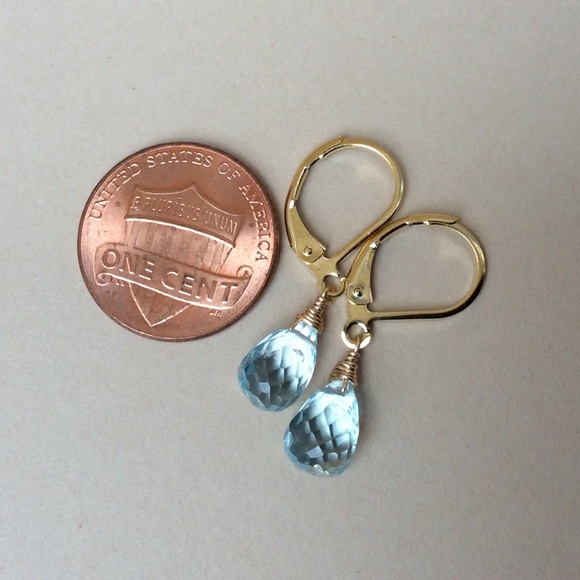 Sundance Charm Aquamarine Earrings - Picture 7 of 8